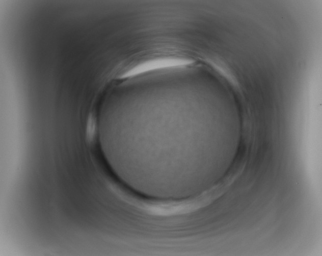 X0000113940021200910021311