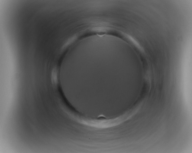 X0000113940023200910021311