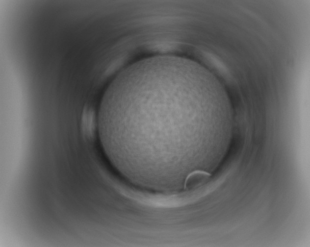 X0000113940024200910021311