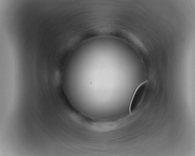 X0000113940025200910021311