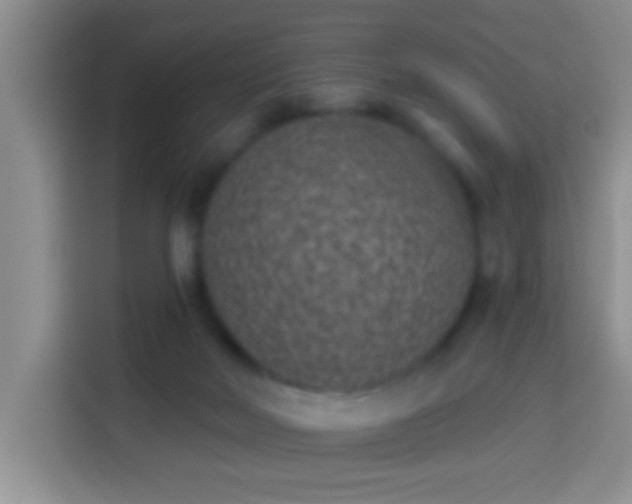 X0000113940026200910021311