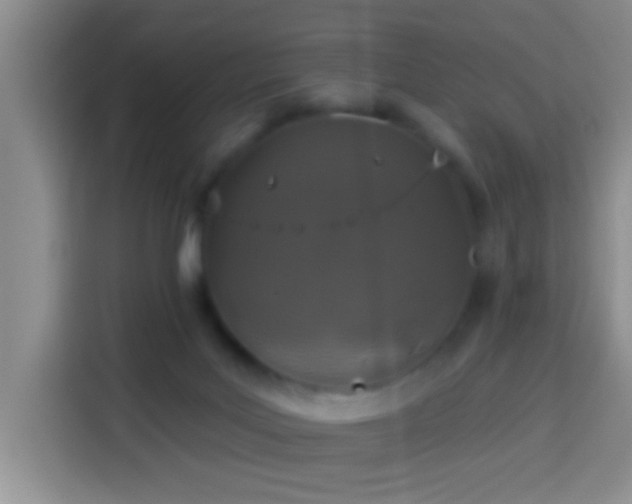 X0000113940027200910021311