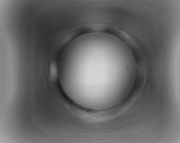 X0000113940028200910021311