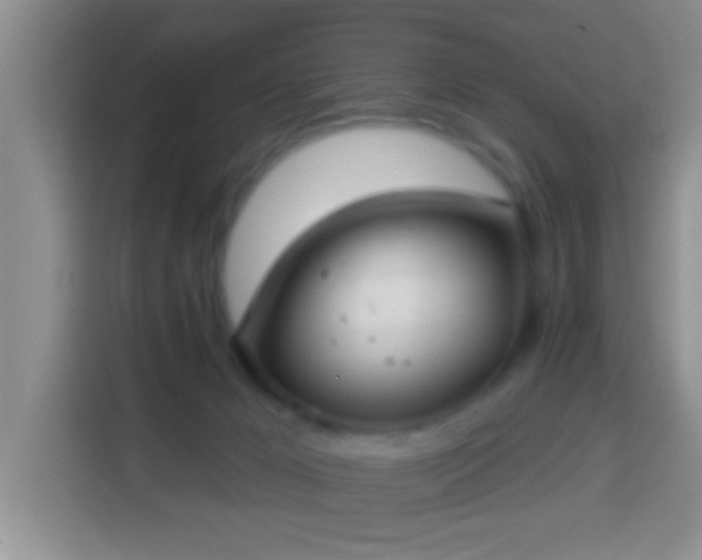 X0000113940029200910021311