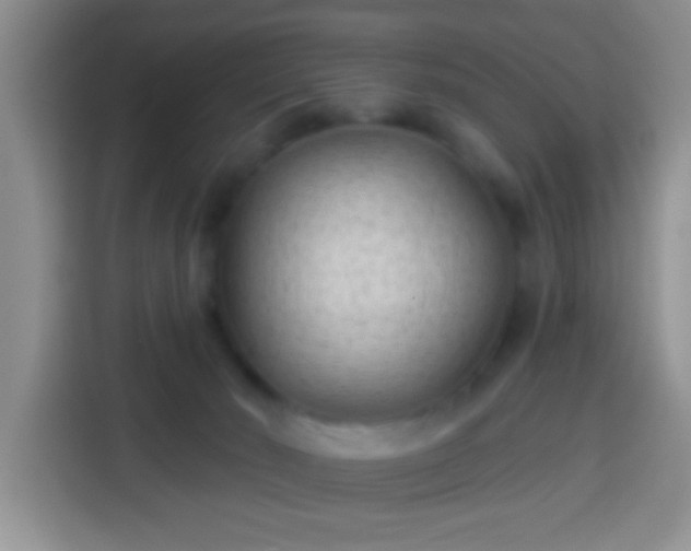 X0000113940030200910021311