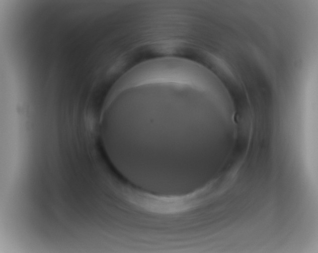 X0000113940031200910021311