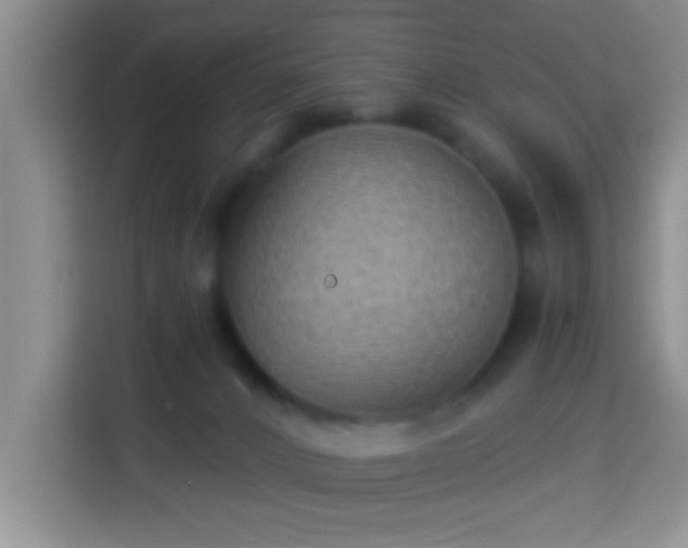 X0000113940032200910021311