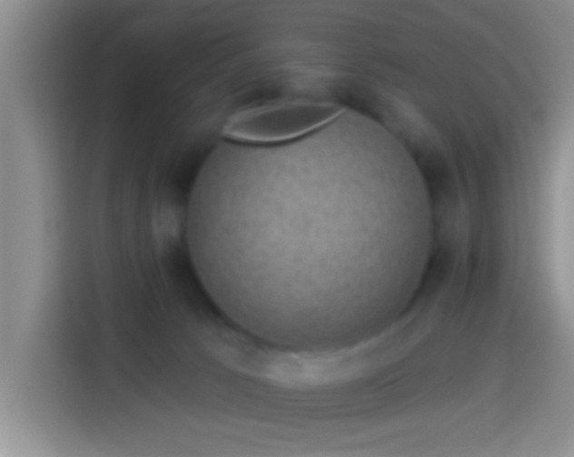 X0000113940033200910021311