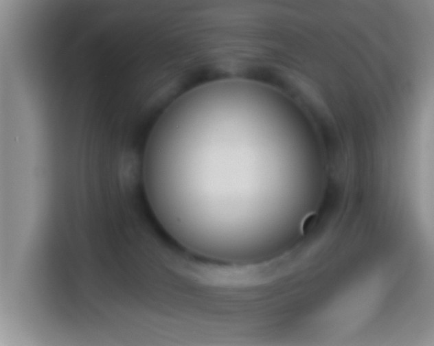 X0000113940036200910021311