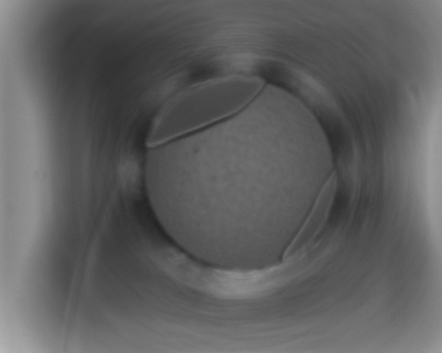 X0000113940037200910021311