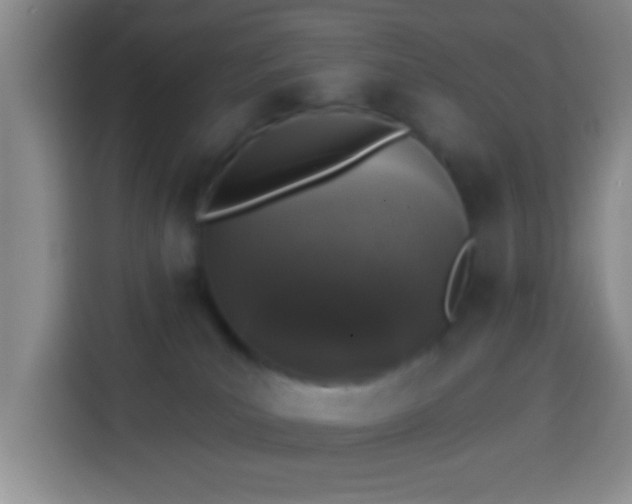 X0000113940039200910021311