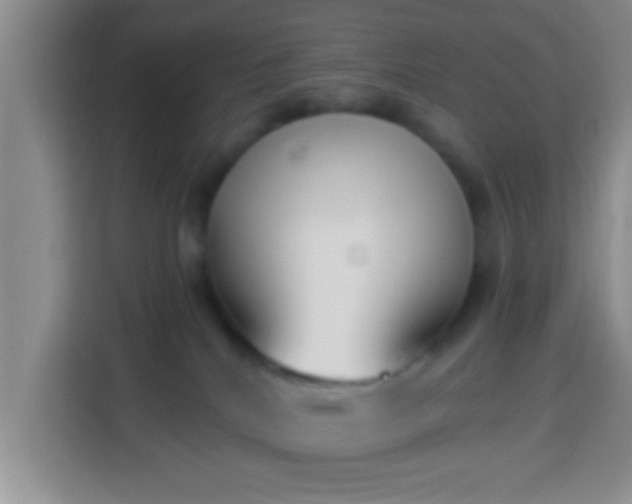 X0000113940040200910021311