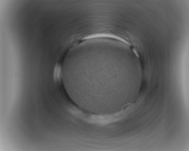 X0000113940041200910021311