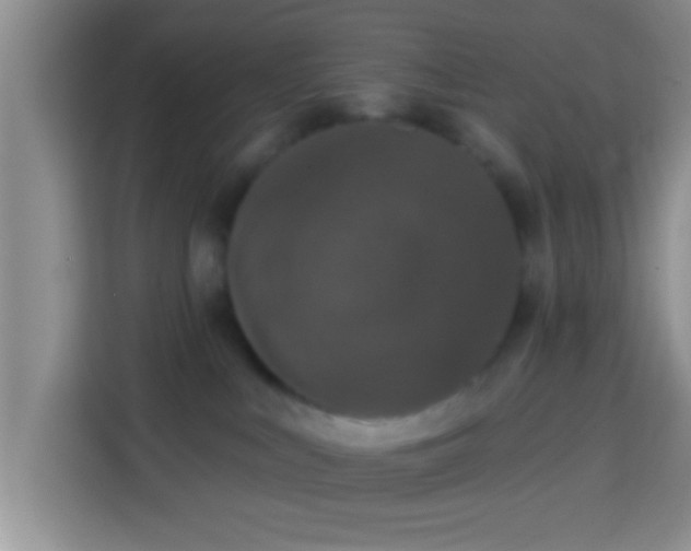 X0000113940043200910021311