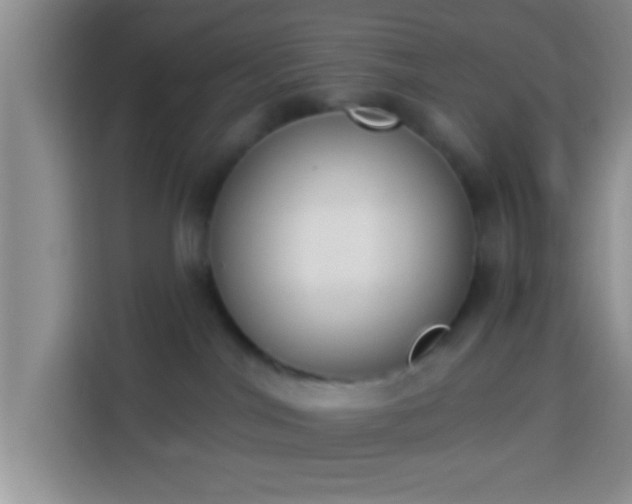 X0000113940044200910021311