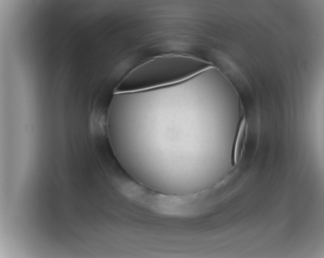 X0000113940045200910021311