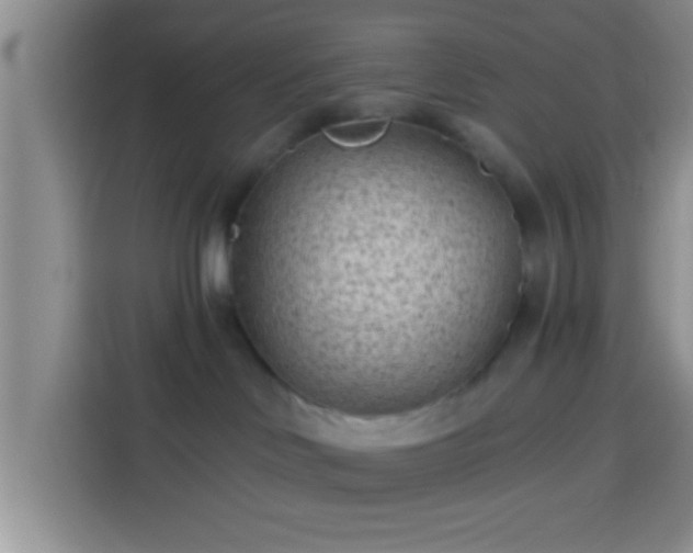 X0000113940046200910021311