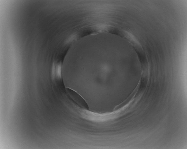 X0000113940047200910021311