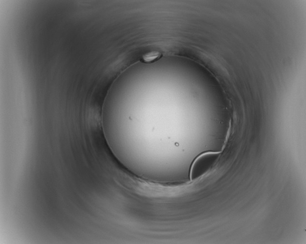 X0000113940048200910021311