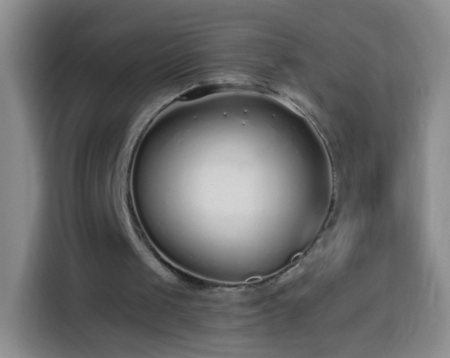 X0000113940049200910021310