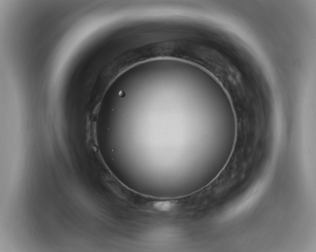 X0000113940050200910021310