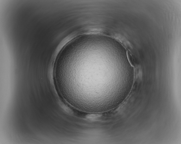 X0000113940051200910021310