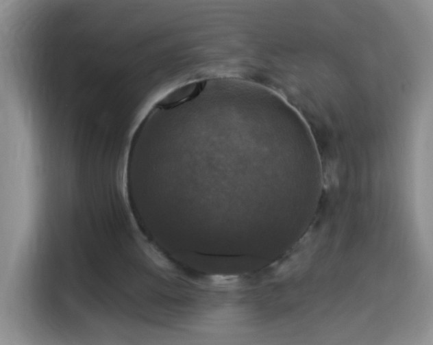 X0000113940052200910021310