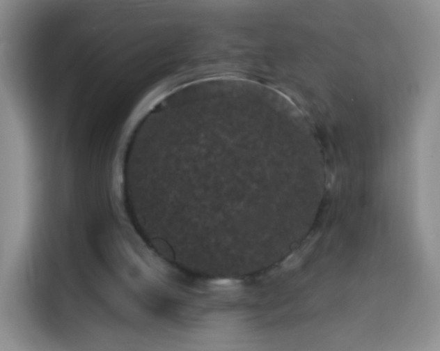 X0000113940053200910021310