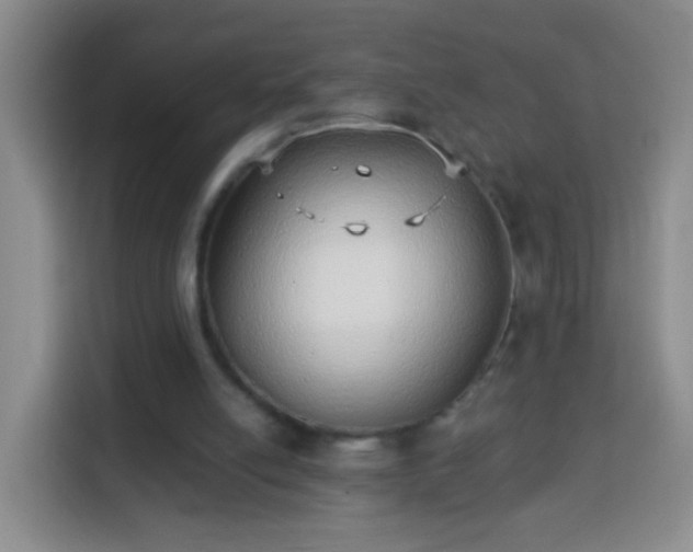 X0000113940054200910021310