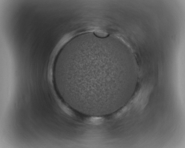 X0000113940055200910021310