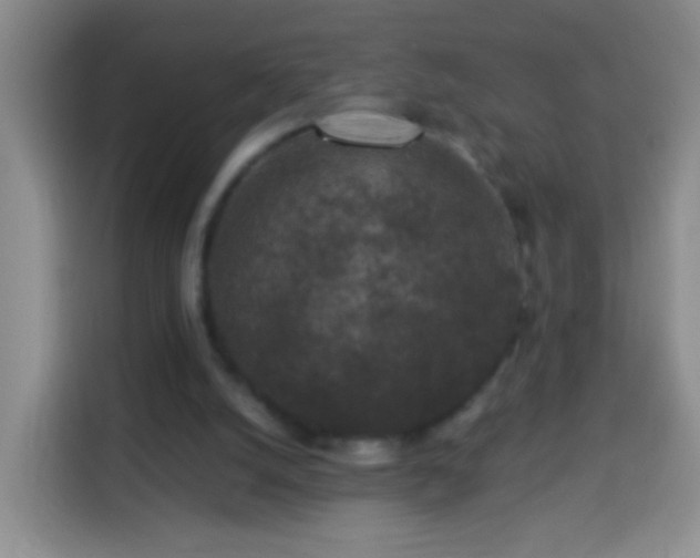 X0000113940056200910021310