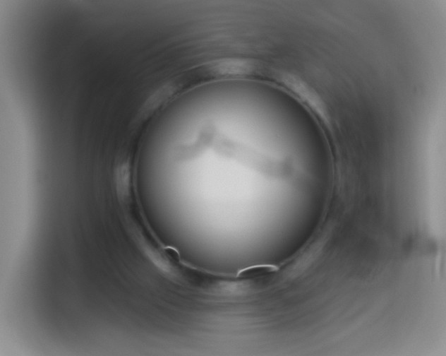 X0000113940057200910021310