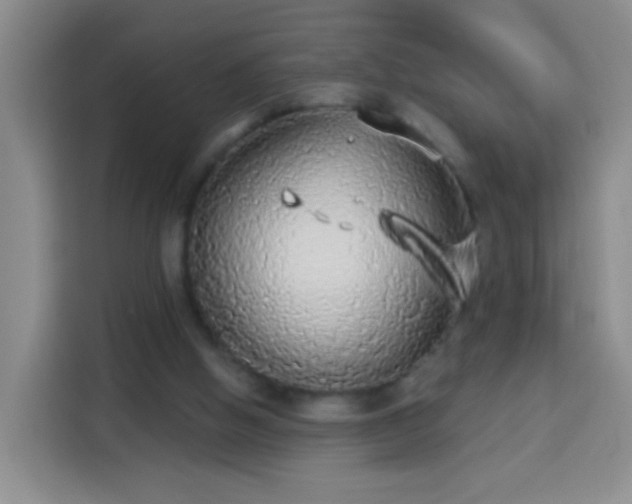 X0000113940058200910021310