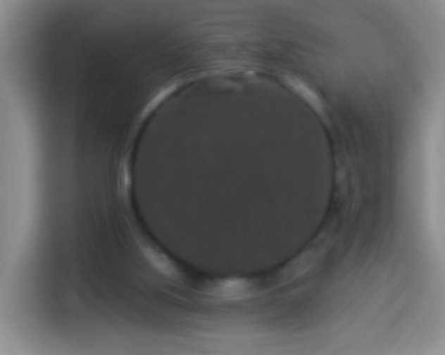 X0000113940059200910021310