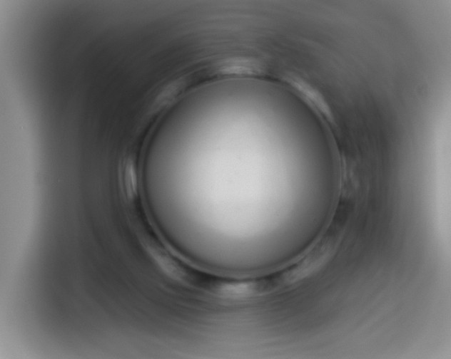 X0000113940061200910021310