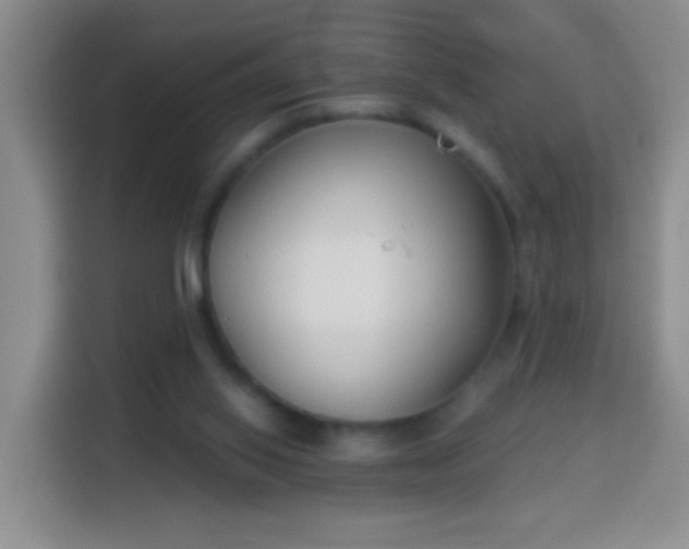 X0000113940062200910021311