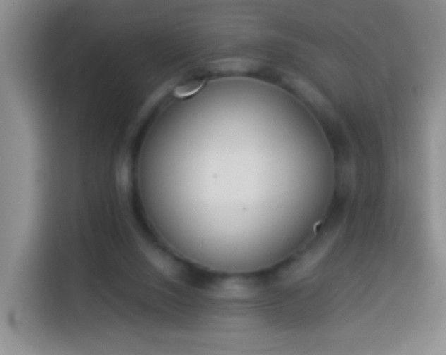 X0000113940064200910021311