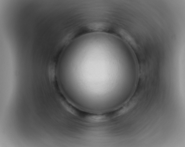 X0000113940065200910021311