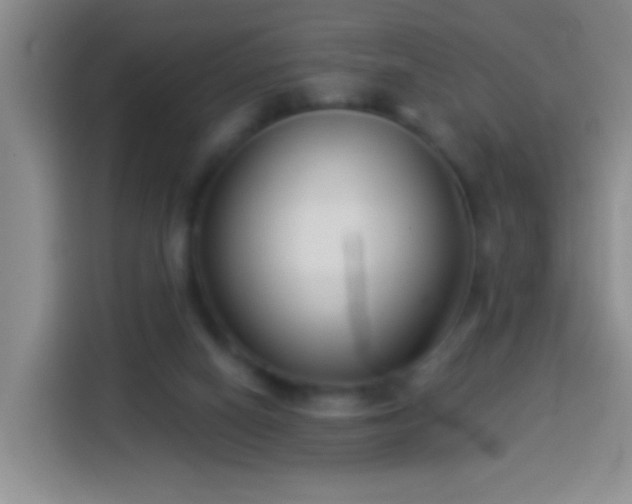 X0000113940066200910021311