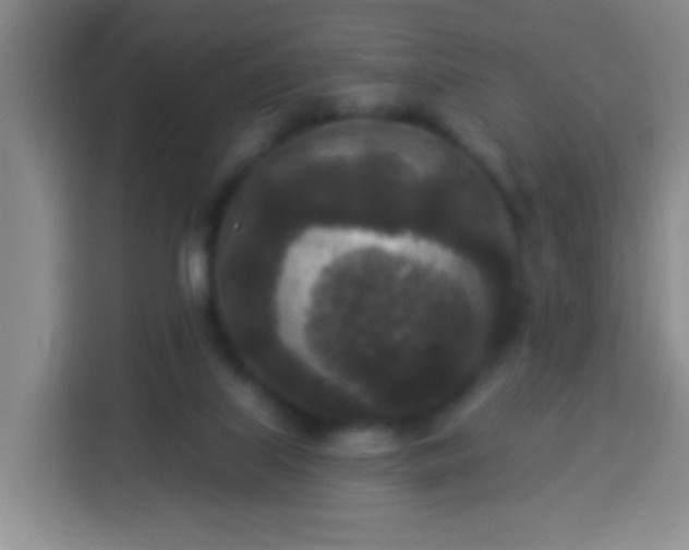 X0000113940067200910021311