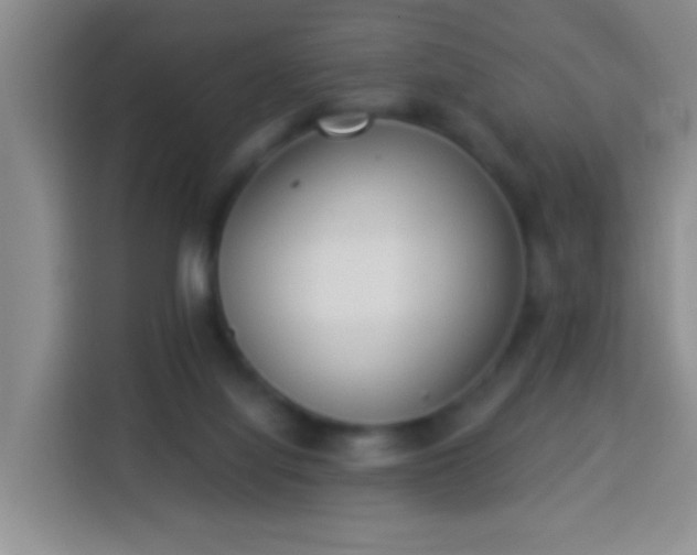 X0000113940068200910021311