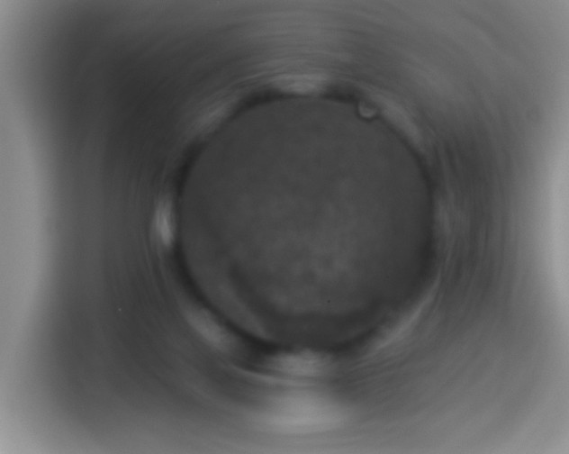 X0000113940069200910021311