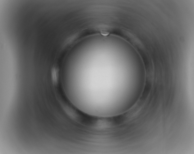 X0000113940070200910021311