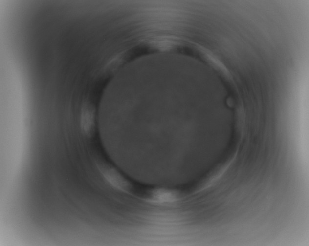 X0000113940073200910021311