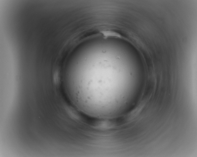 X0000113940074200910021311