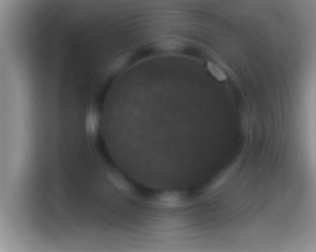 X0000113940076200910021311