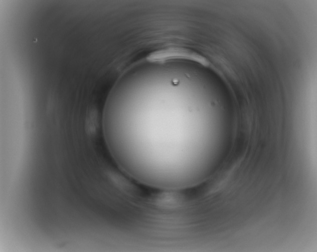 X0000113940077200910021311