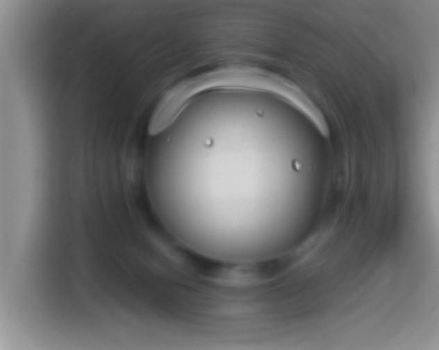 X0000113940078200910021311