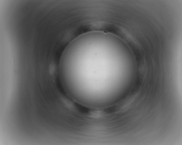 X0000113940079200910021311