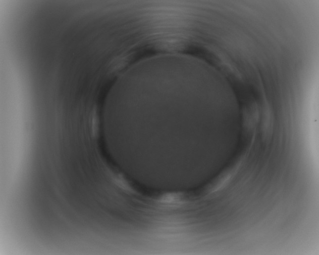 X0000113940080200910021311